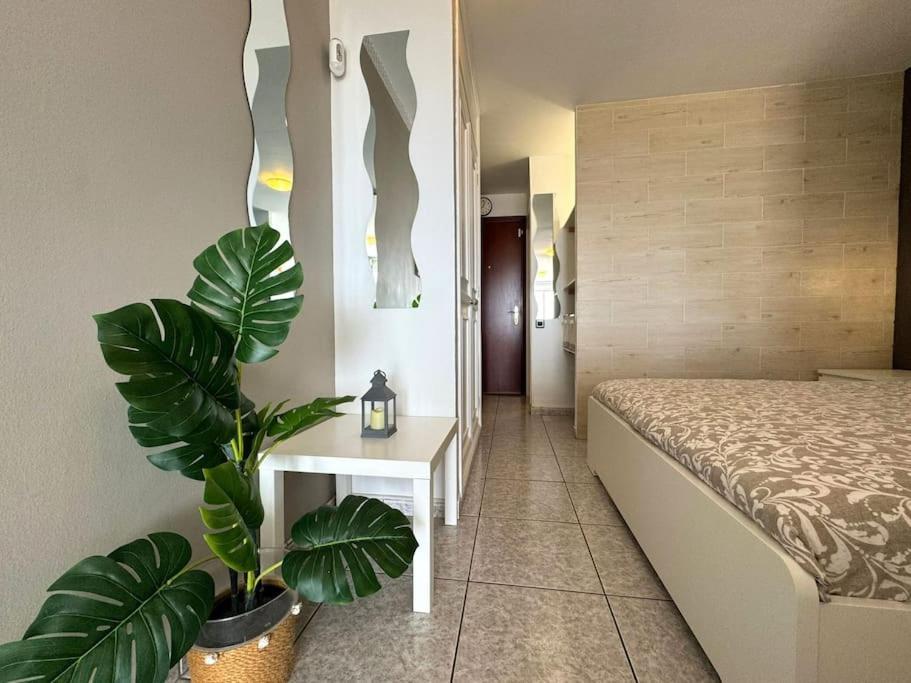 Palm Garden Apartment Morro Jable  Bagian luar foto