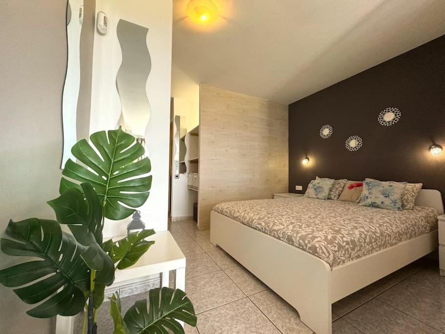 Palm Garden Apartment Morro Jable  Bagian luar foto